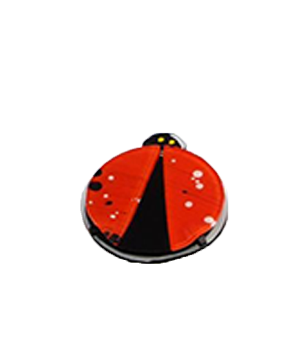 Şekilli Magnet